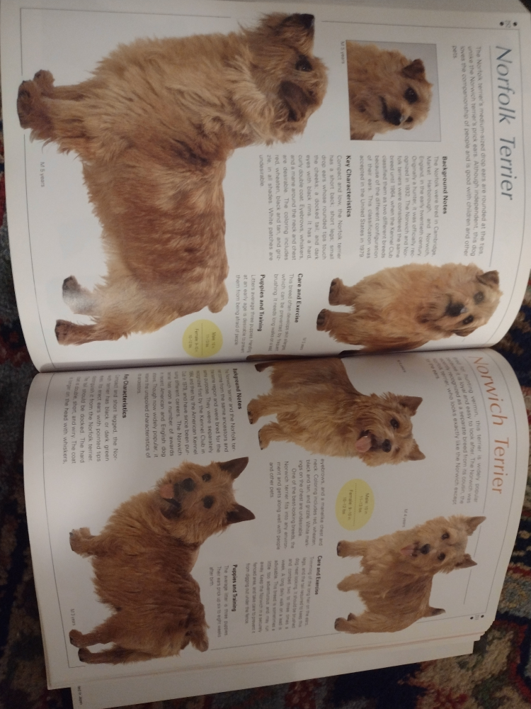 Legacy of the Dog book by Tetsu Yamazaki and Toyoharu Kojima image indicator(5)