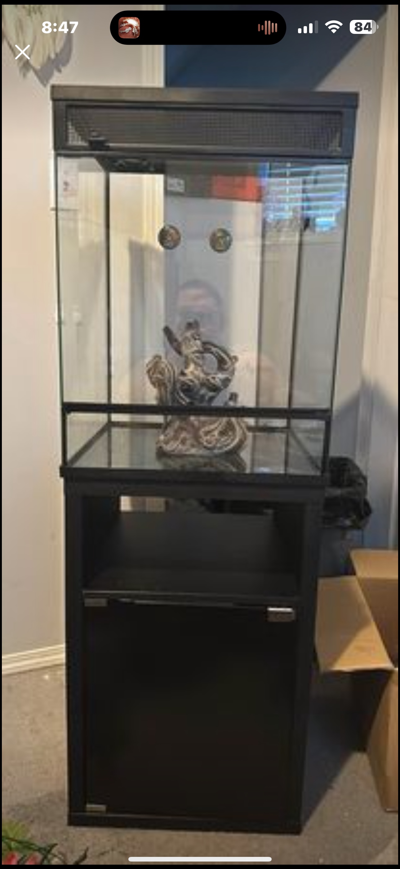 Tall terrarium - photo 2