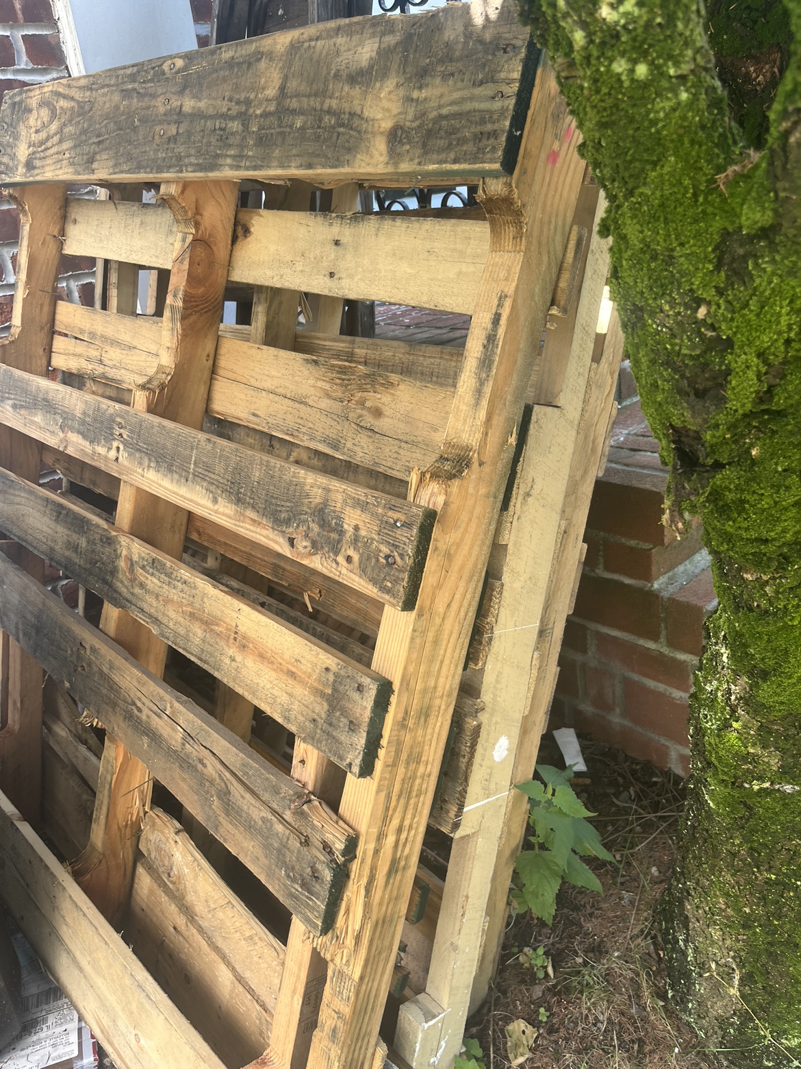 #freecycle Pallets
