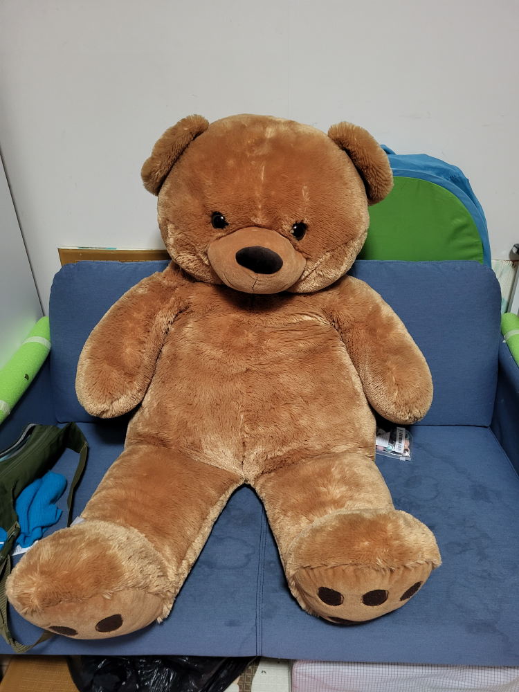 Big teddy bear