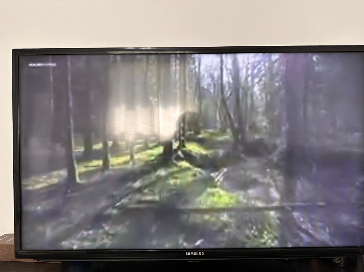 Samsung TV