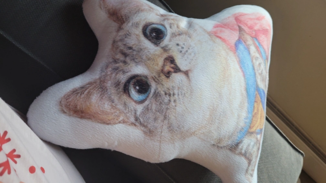 ❤️ cat face cushion