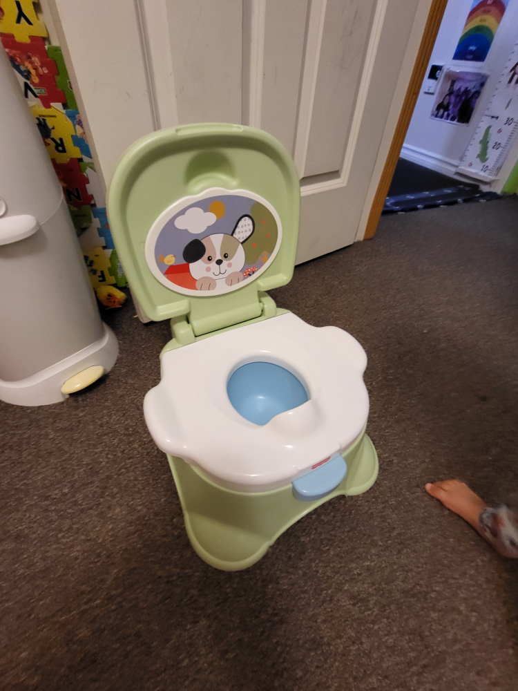 Fisher Price Potty, NEVER USED