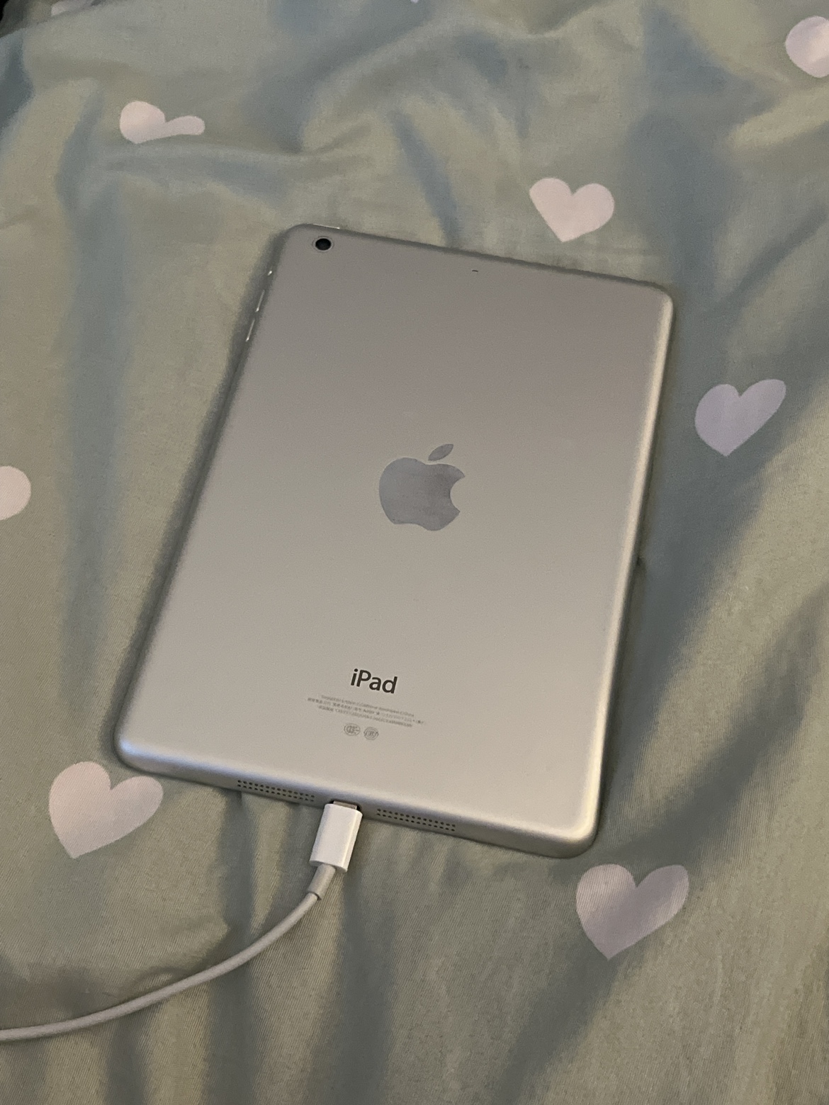 ipad mini 2 retina - photo 2
