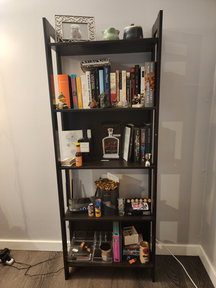 Bookcase - IKEA LAIVA