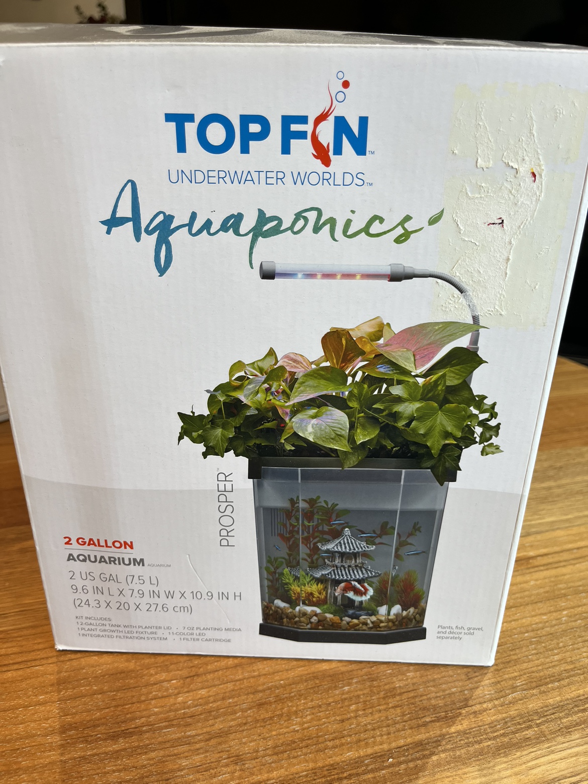 Top fin fish tank thumbnail