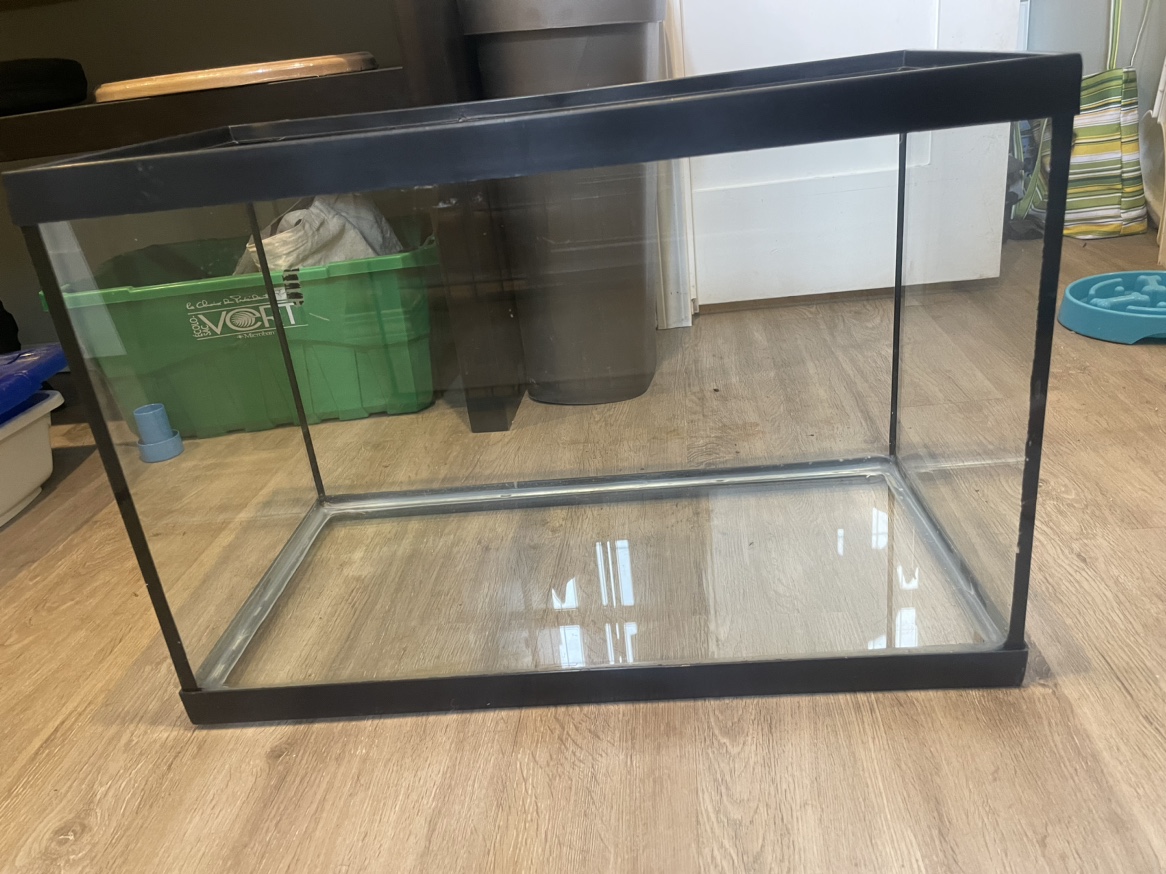 20g Aquarium - photo 2