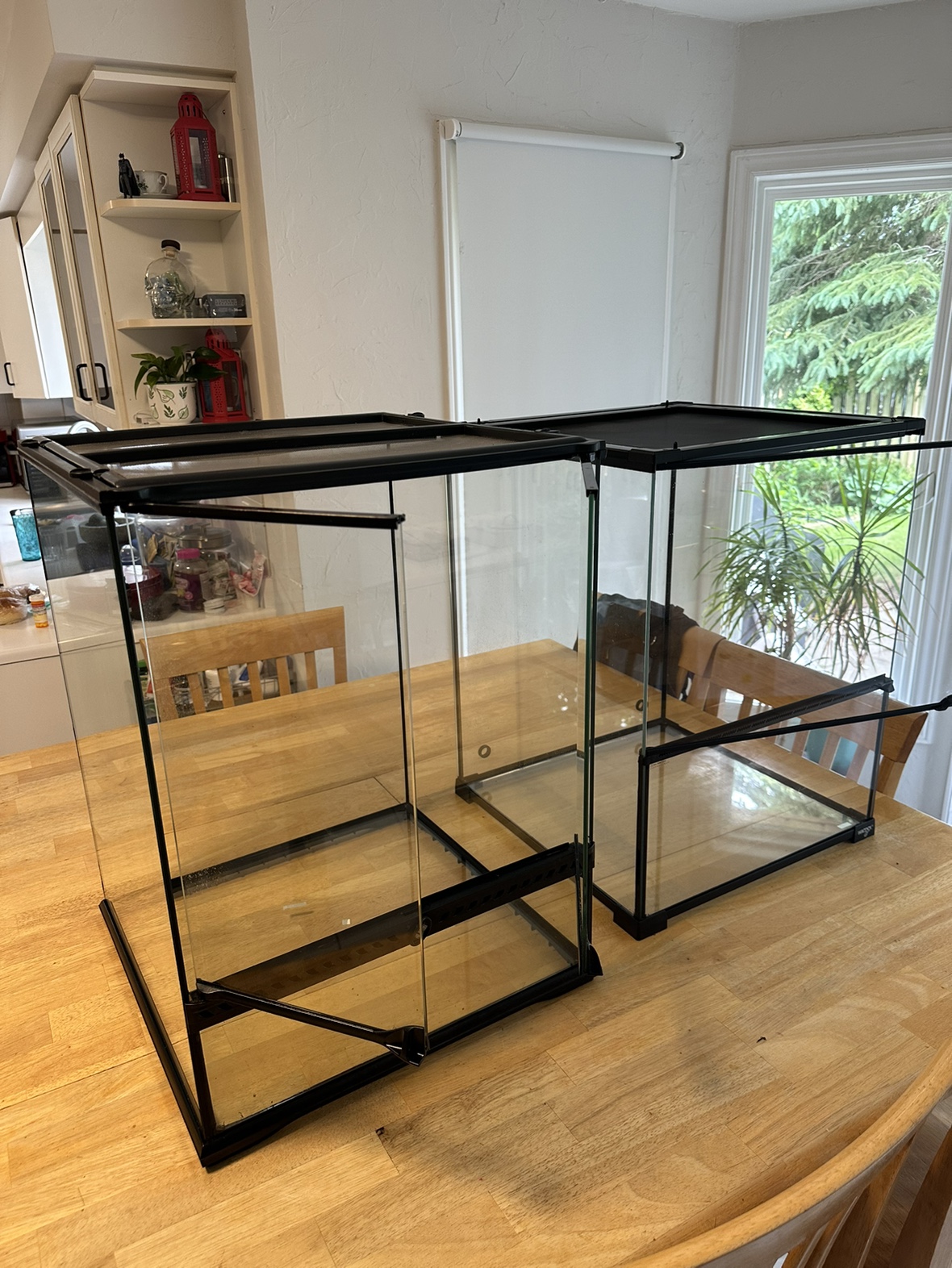 Reptile Terrarium Habitat thumbnail