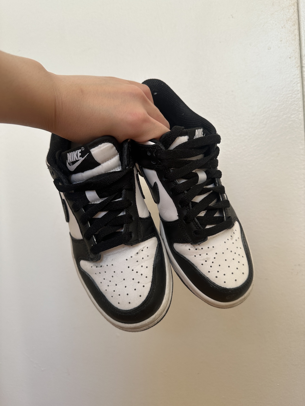Panda Dunks