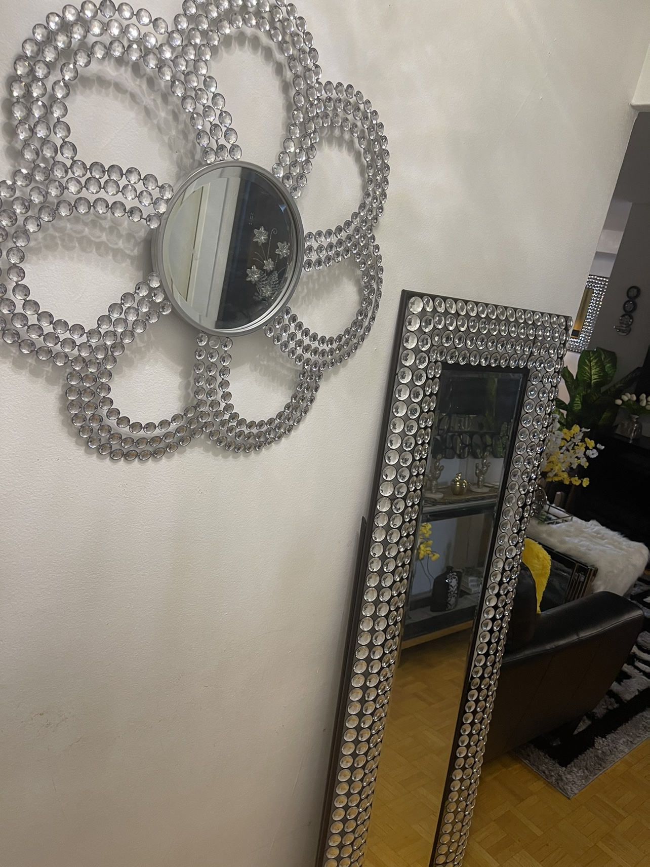 Bling standing mirror image indicator(4)