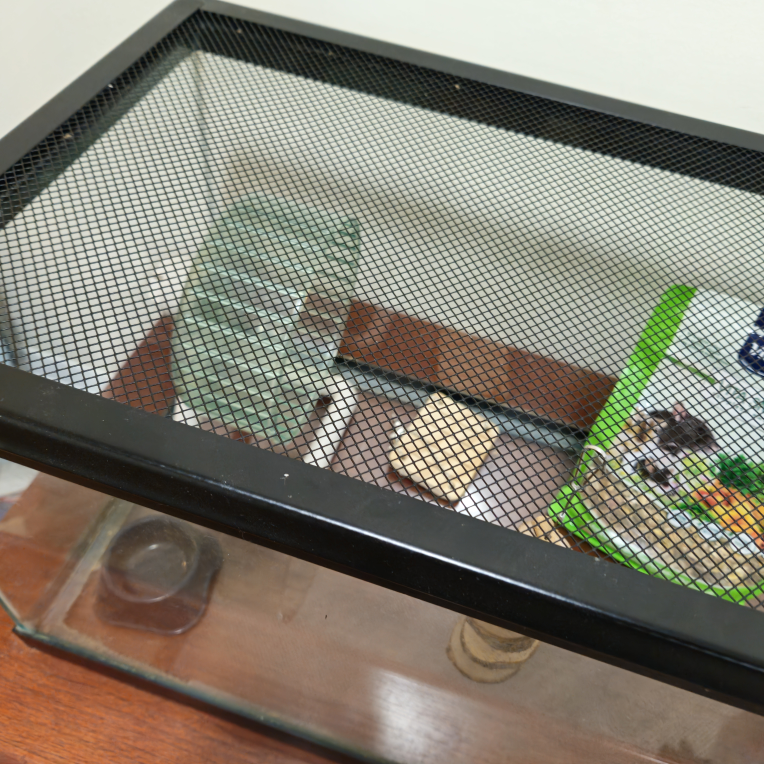 40 gallon Tank with metal lid for reptile or small pet - photo 3
