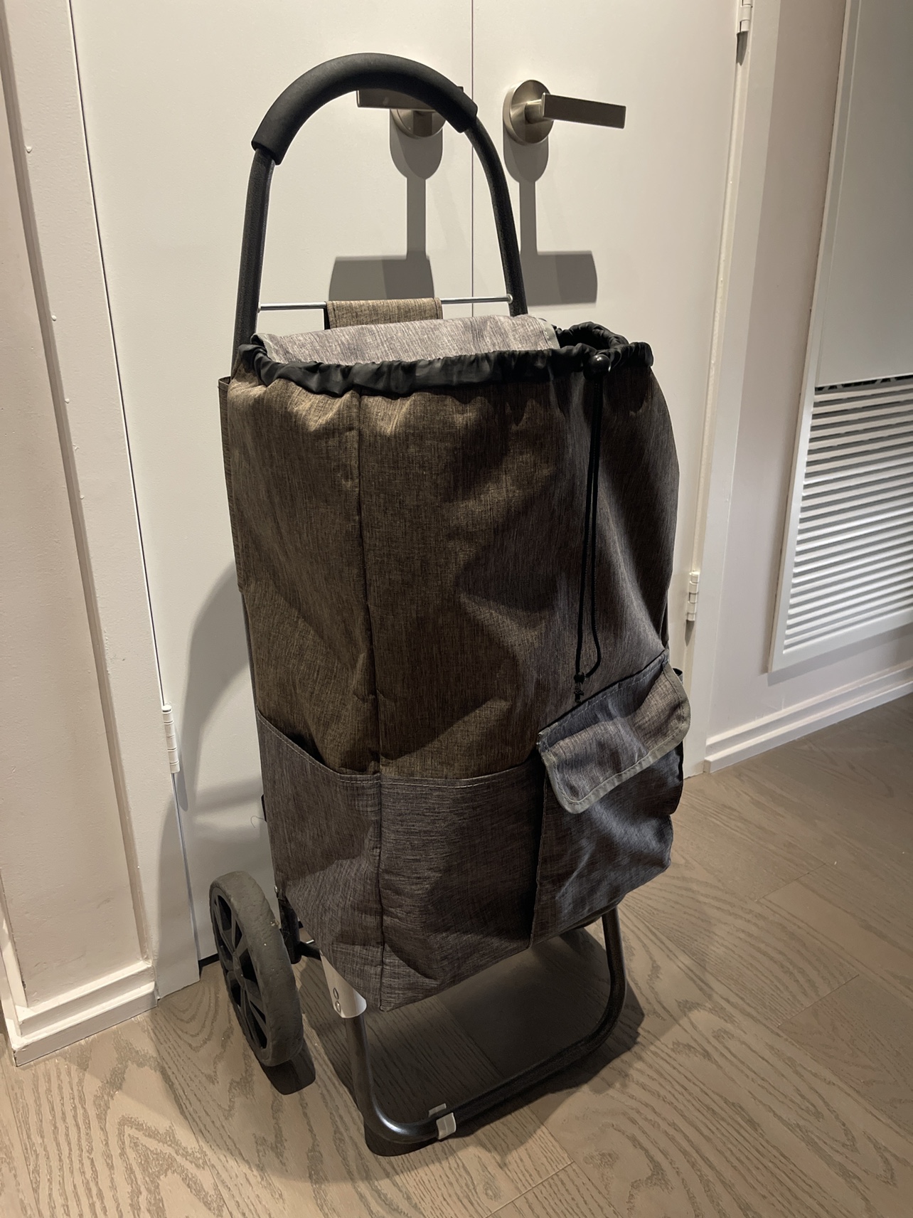 Trolley bag