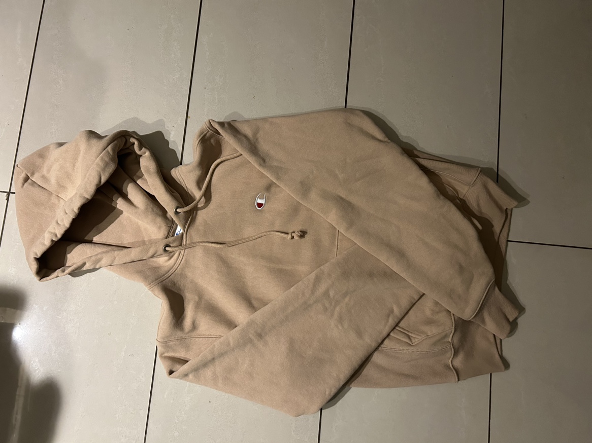 Champion hoodie