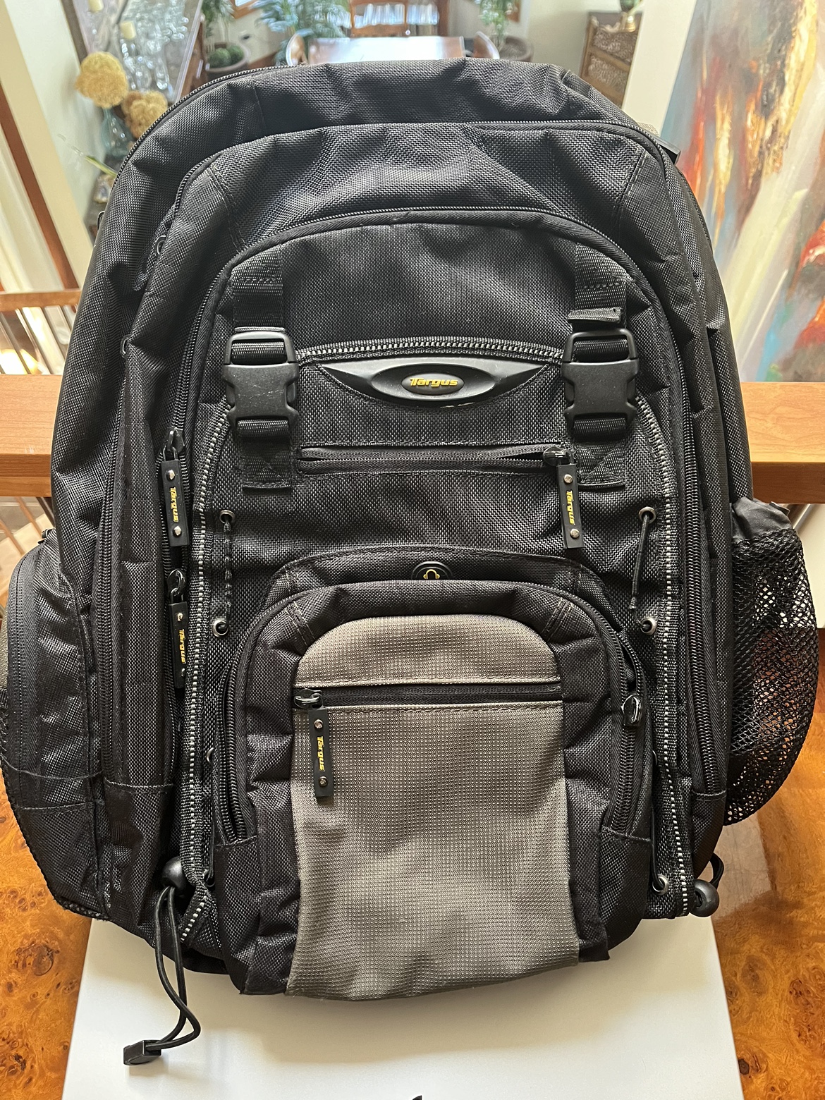 Targus laptop backpack