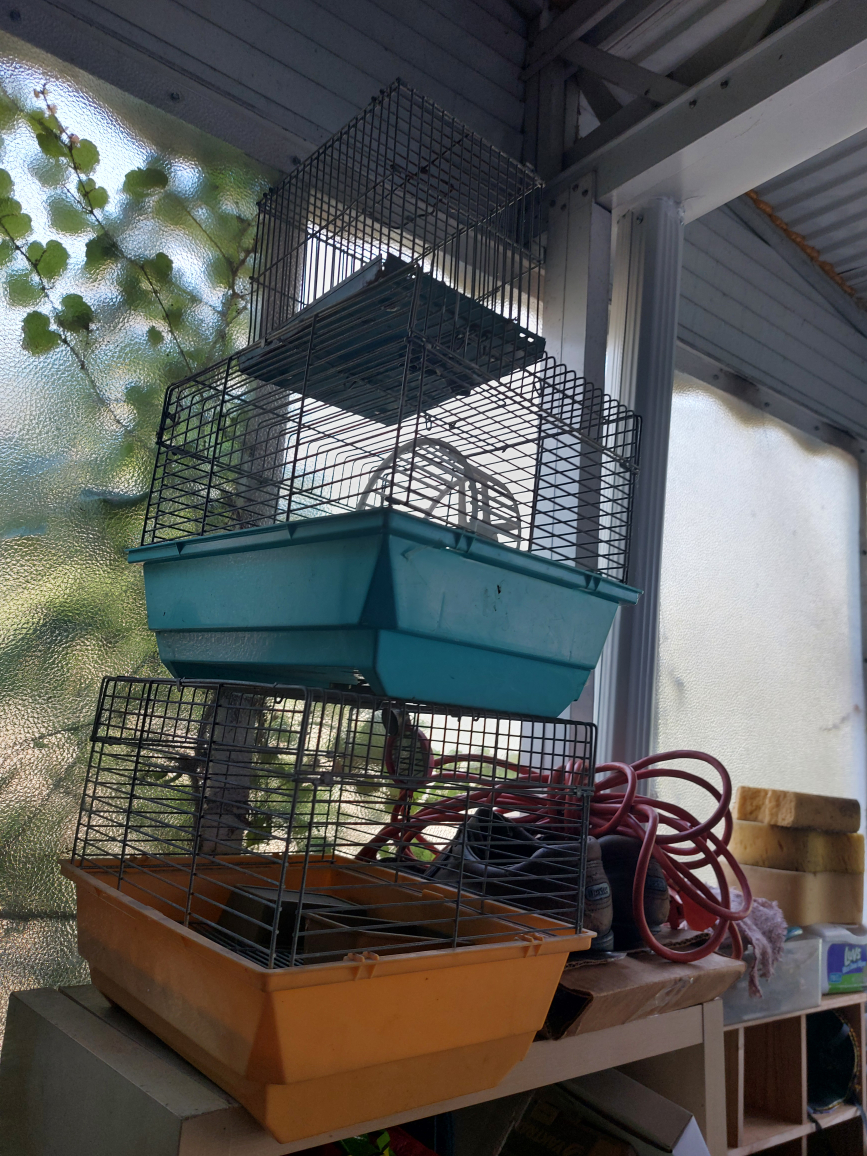 3 small cages