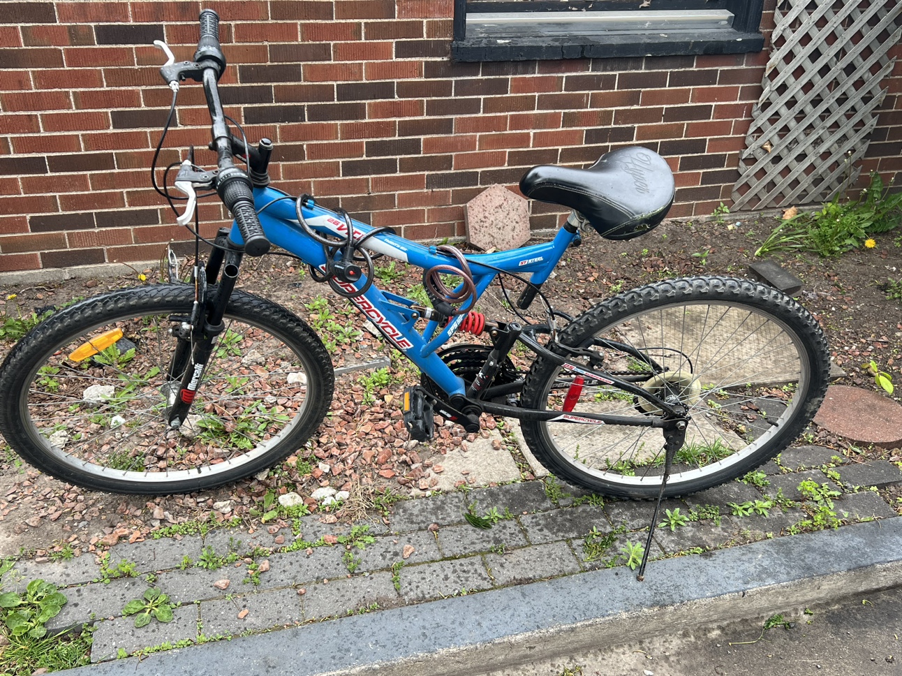 Bicycle image indicator(2)