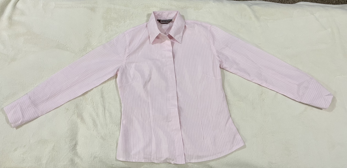 Brand new never worn Long sleeved blouse — light pink stripes