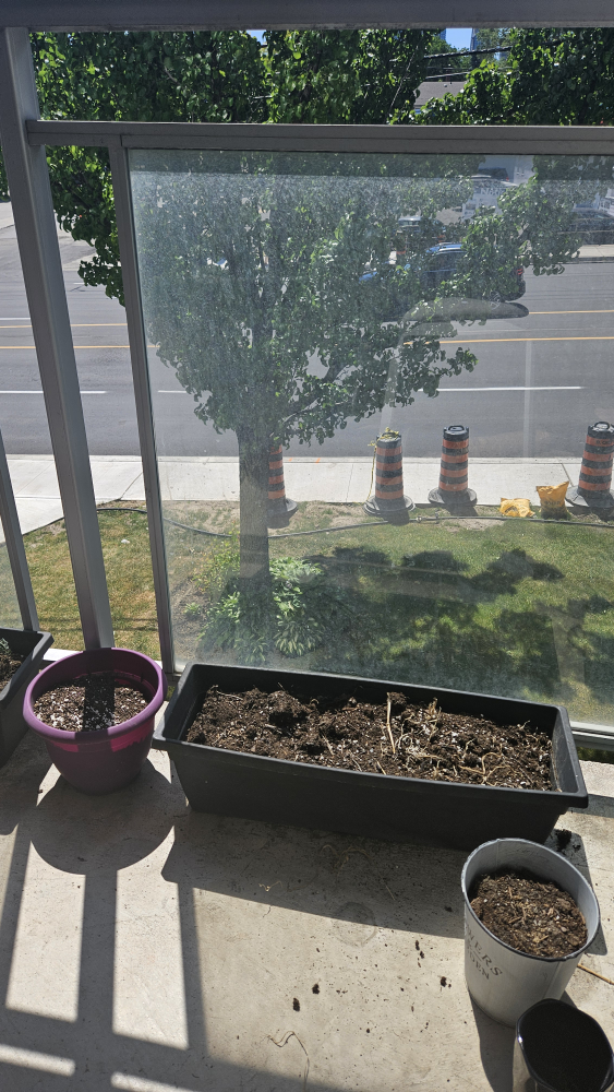 Garden Pots with Soil image indicator(7)