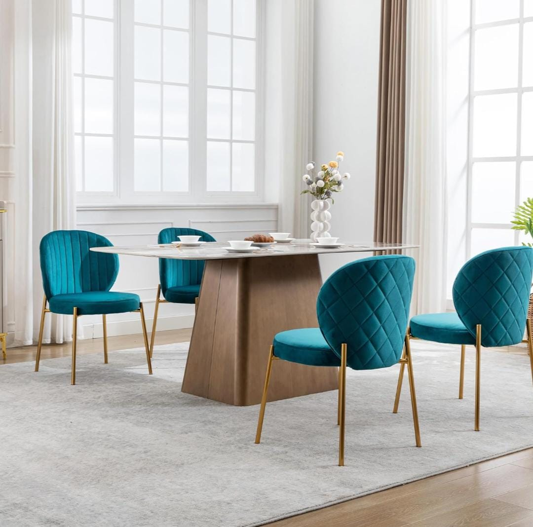 Dining Chairs Set of 4 Velvet Chairs