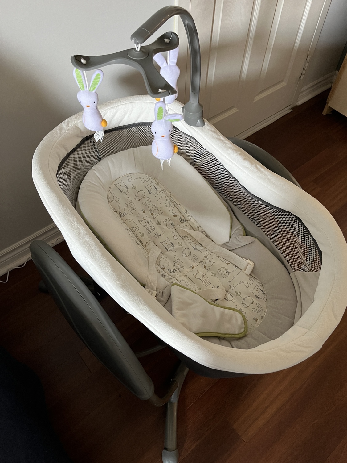 Graco Duoglider Gliding Swing, Rascal - photo 2