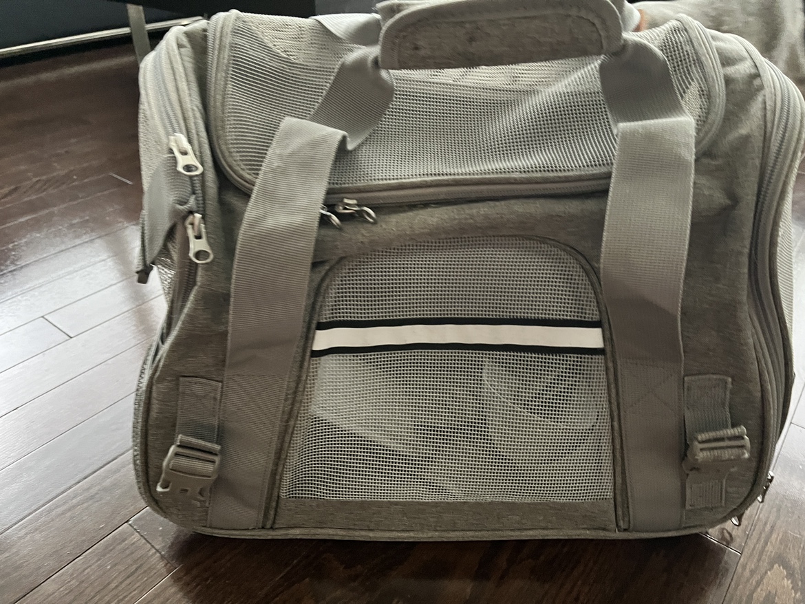 Kitten or small dog carrier - photo 3