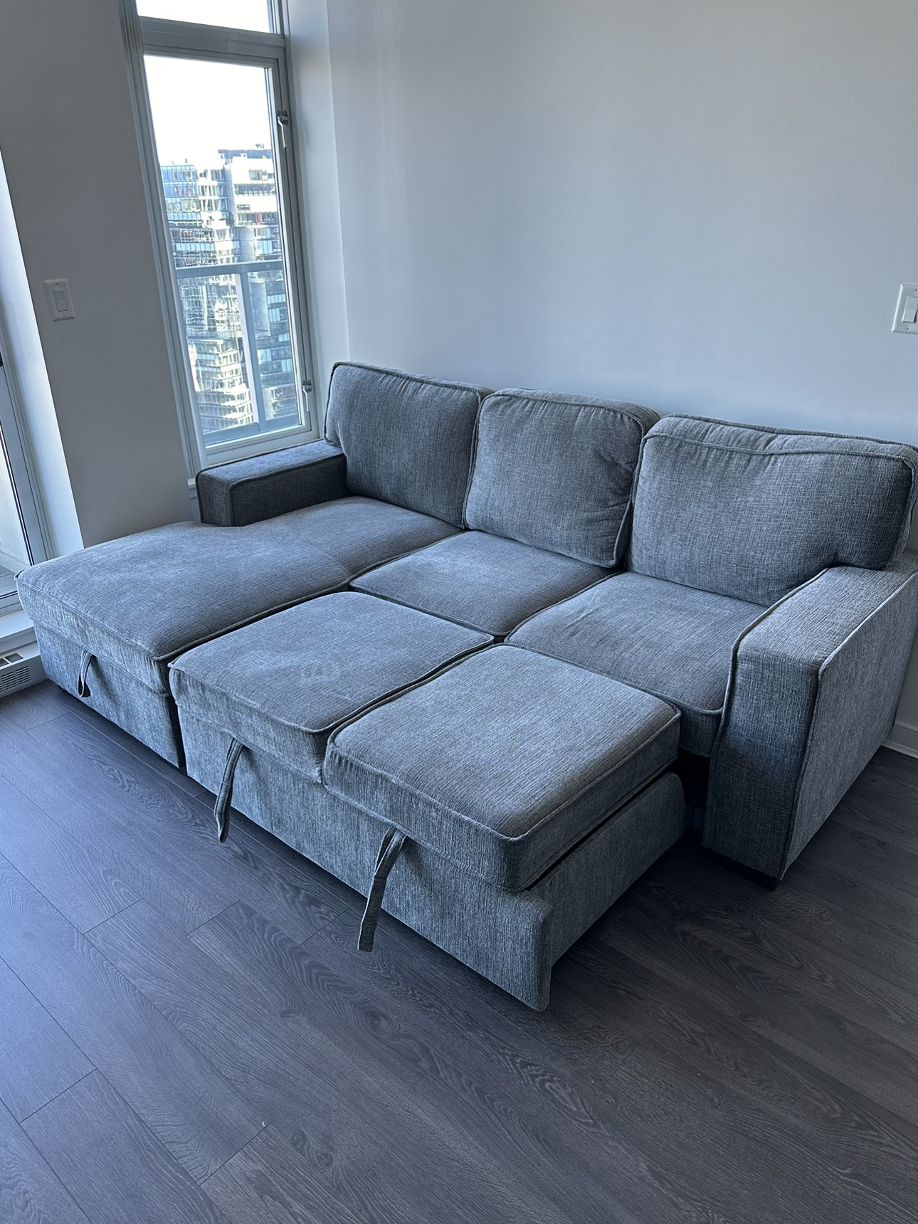 Pullout couch - CAN DELIVER JUNE 30th - photo 2