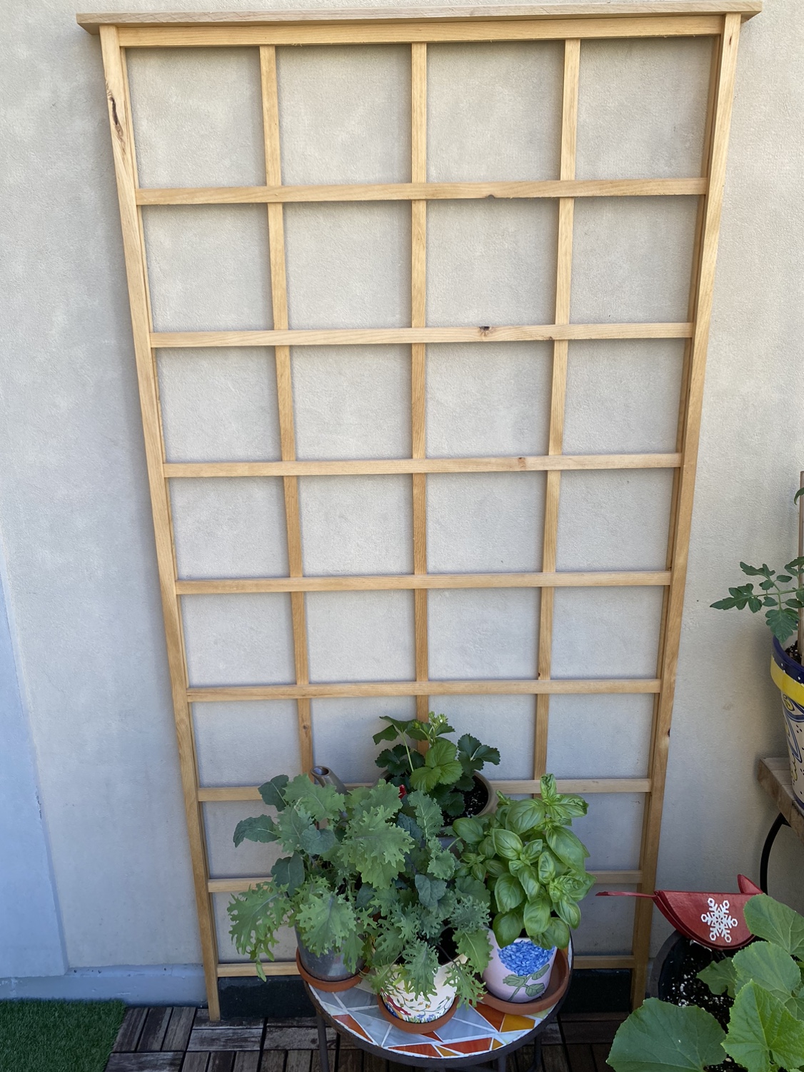Garden Trellis (Taper Top Cap) thumbnail