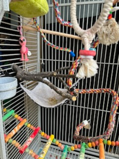 big beautiful mansion cage - photo 5