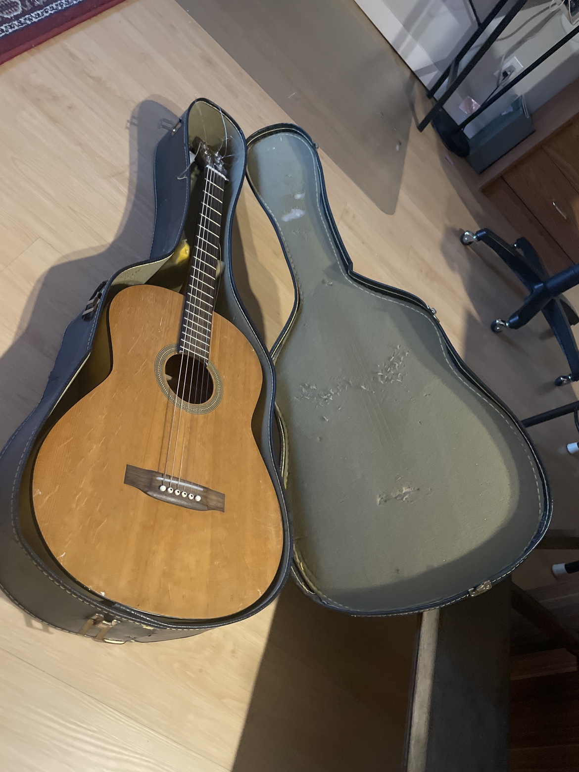 Guitar and Case - photo 3