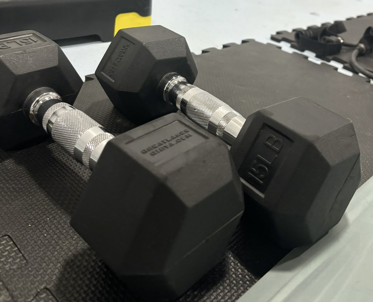 Pair of 15 lb (6.8 kg) Dumbbells