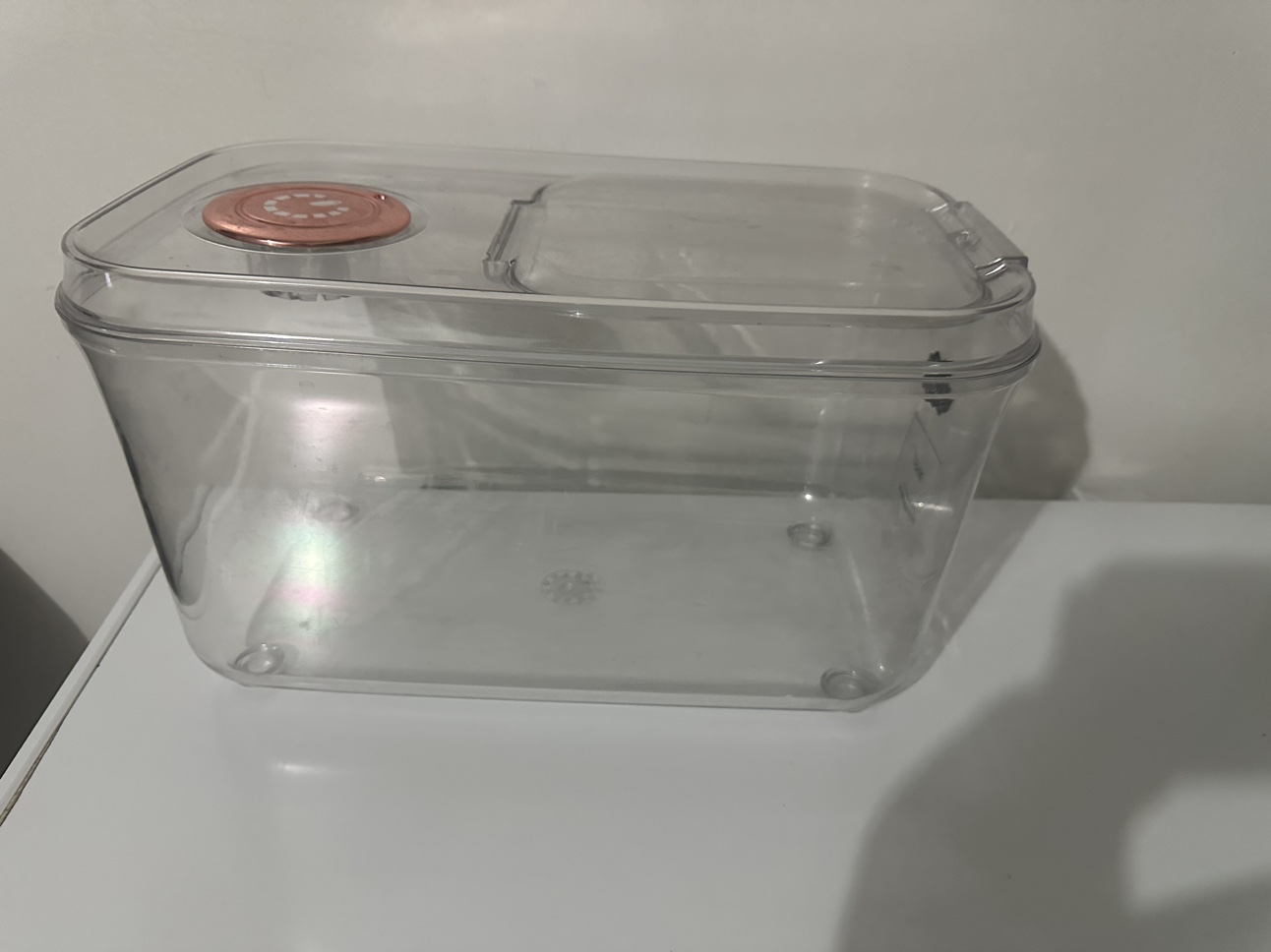 2 Rice Containers image indicator(2)