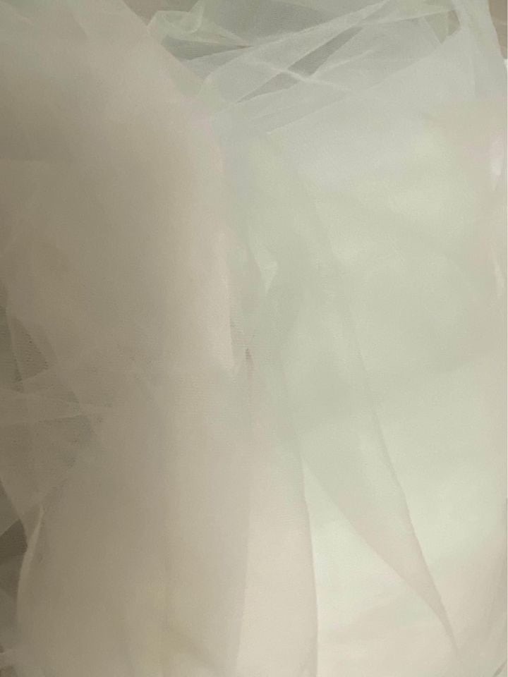 3 meters Long plain cathedral wedding veil bridal ivory round image indicator(3)