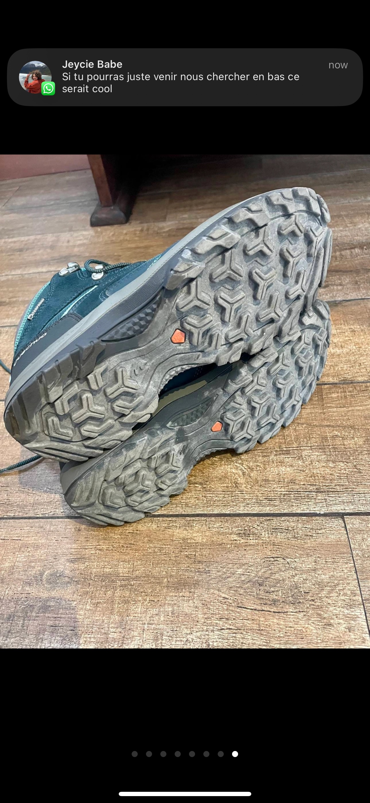 Women’s Hiking Shoes Size W 10.5 image indicator(6)