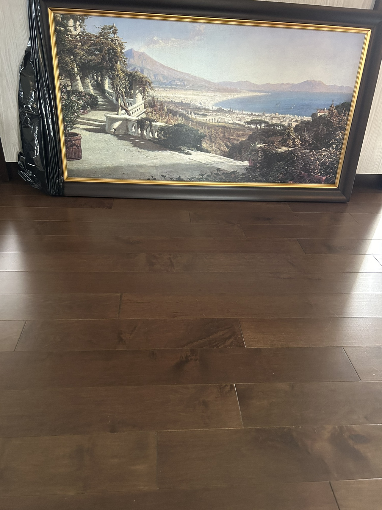 Picture Frame of Lake Como - photo 2