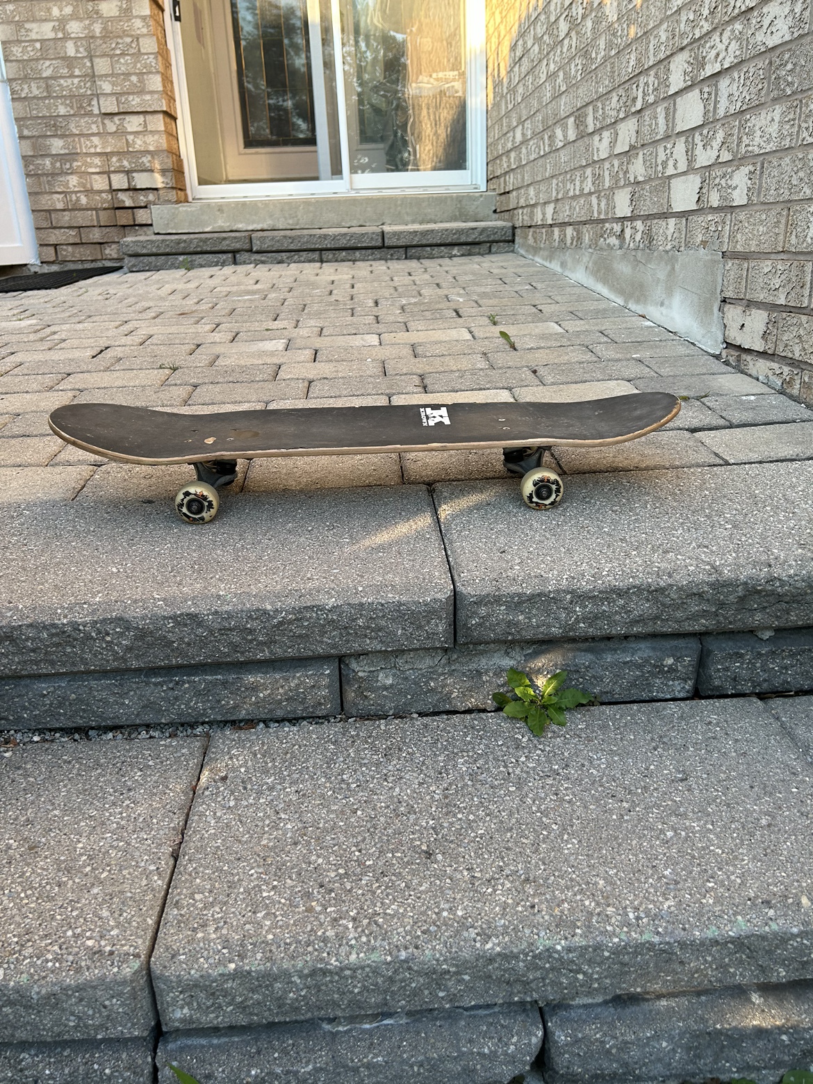 Skateboard