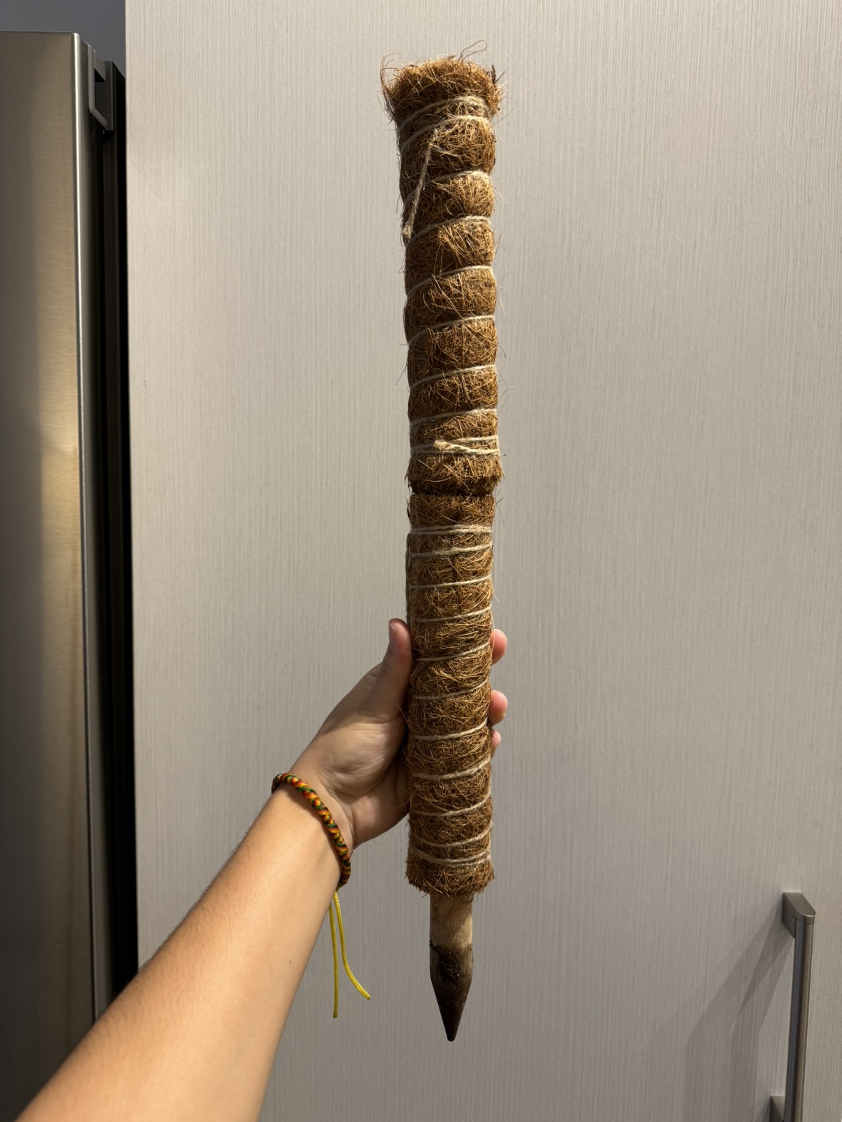 Two plant climbing poles thumbnail