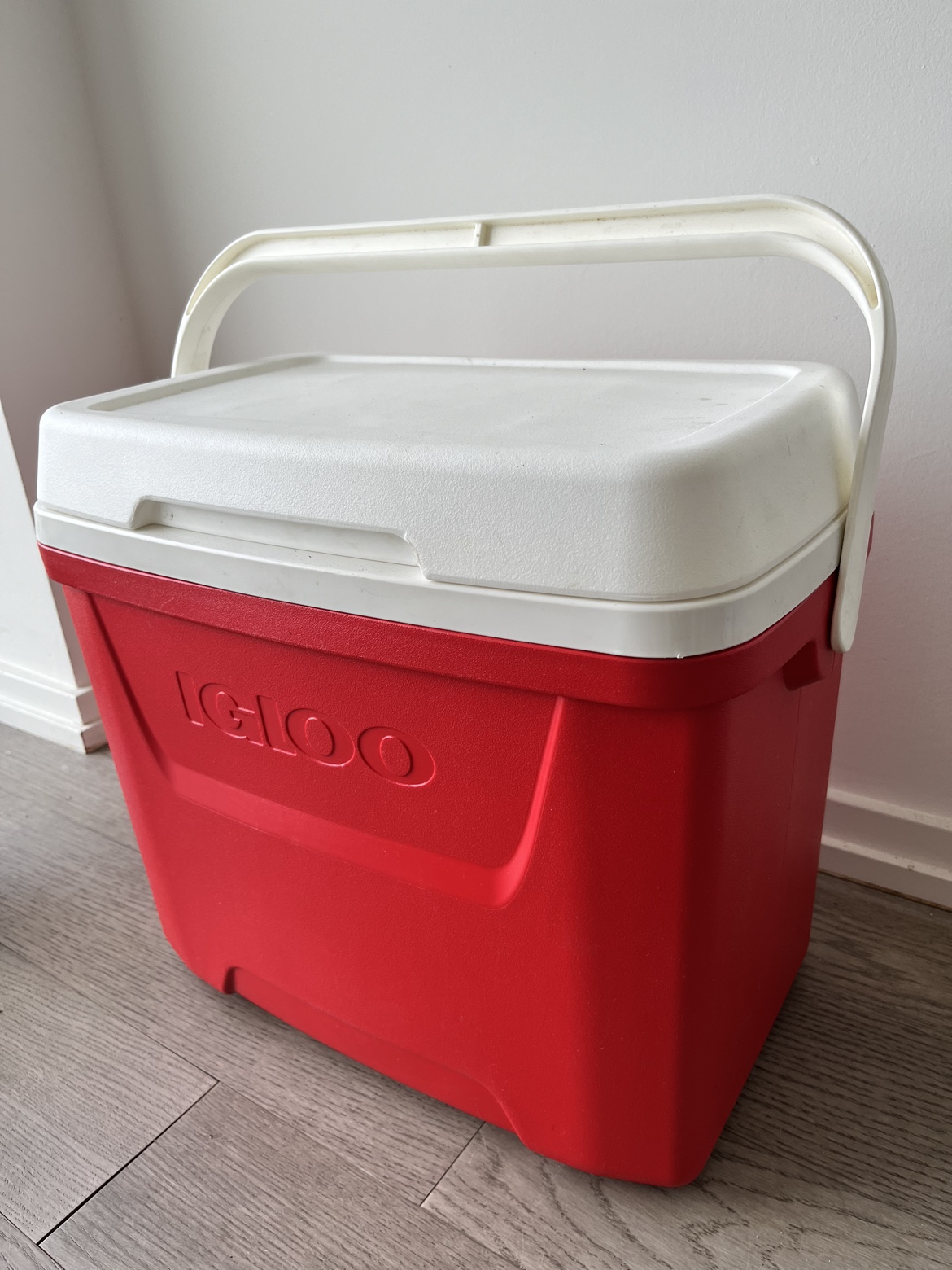 Igloo outdoor hard cooler