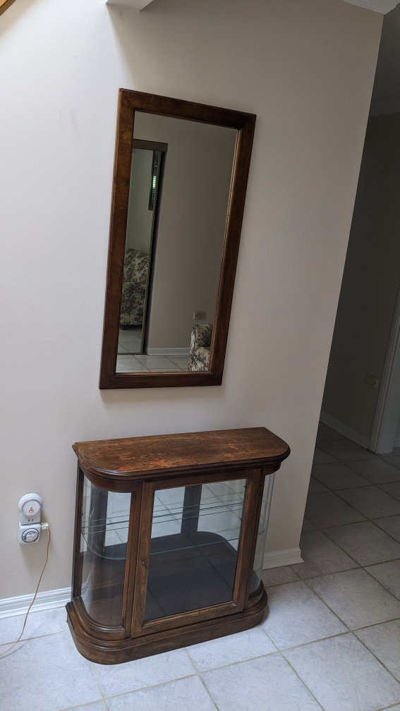 MOVING - Lighted Display Case & Mirror image indicator(9)