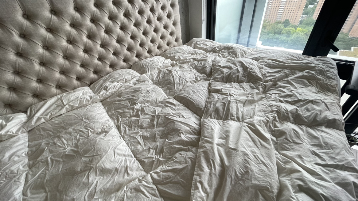 Queen Size Ultra Warm Ikea Duvet - Like New image indicator(5)