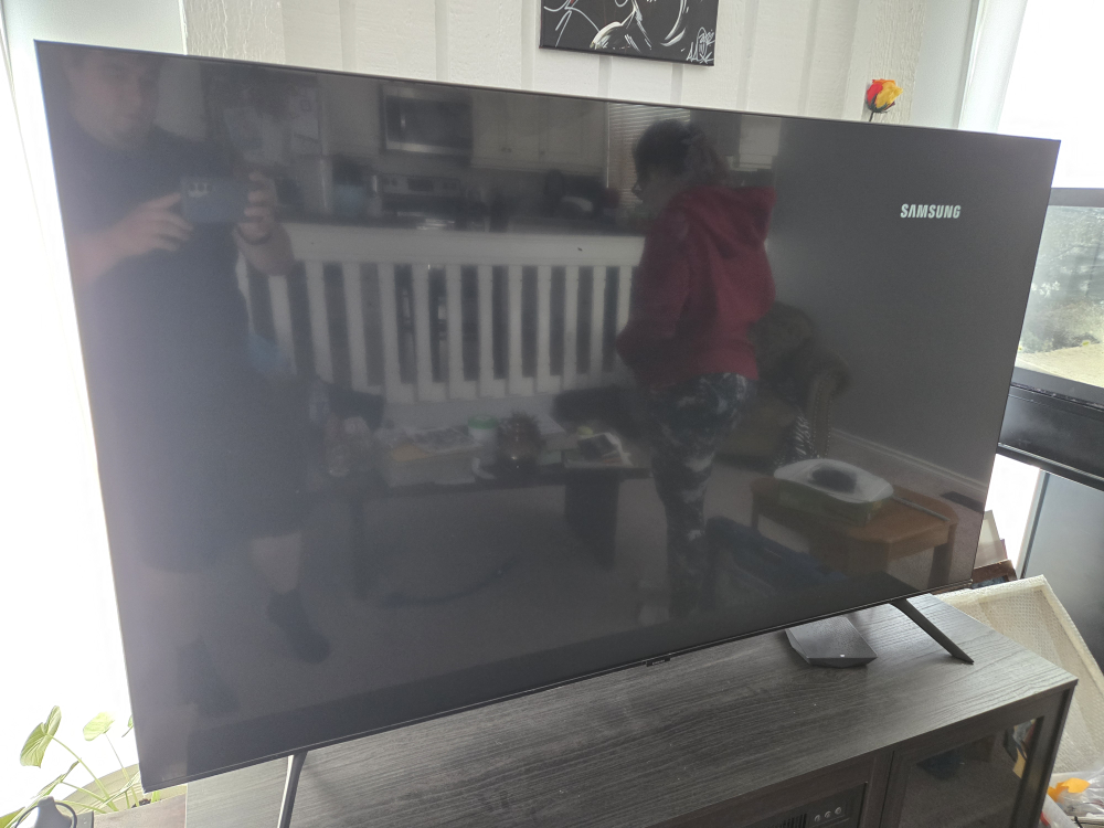 65" TV and Stand