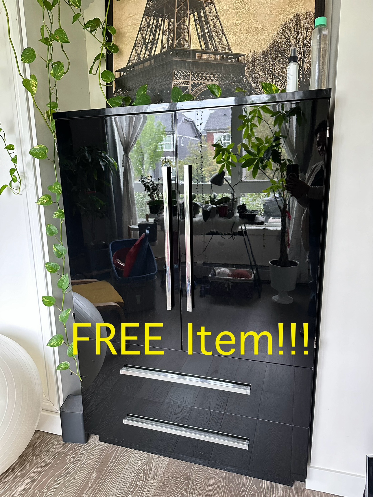 #freecycle Cabinet