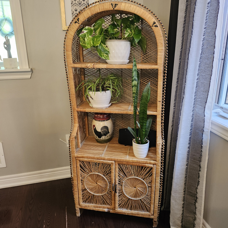 Boho vintage Peacock Shelf unit