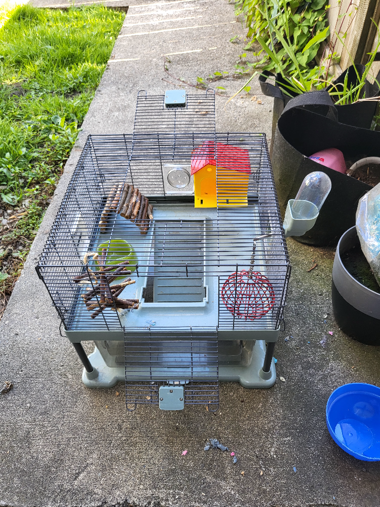 hamster cage and supplies - photo 3