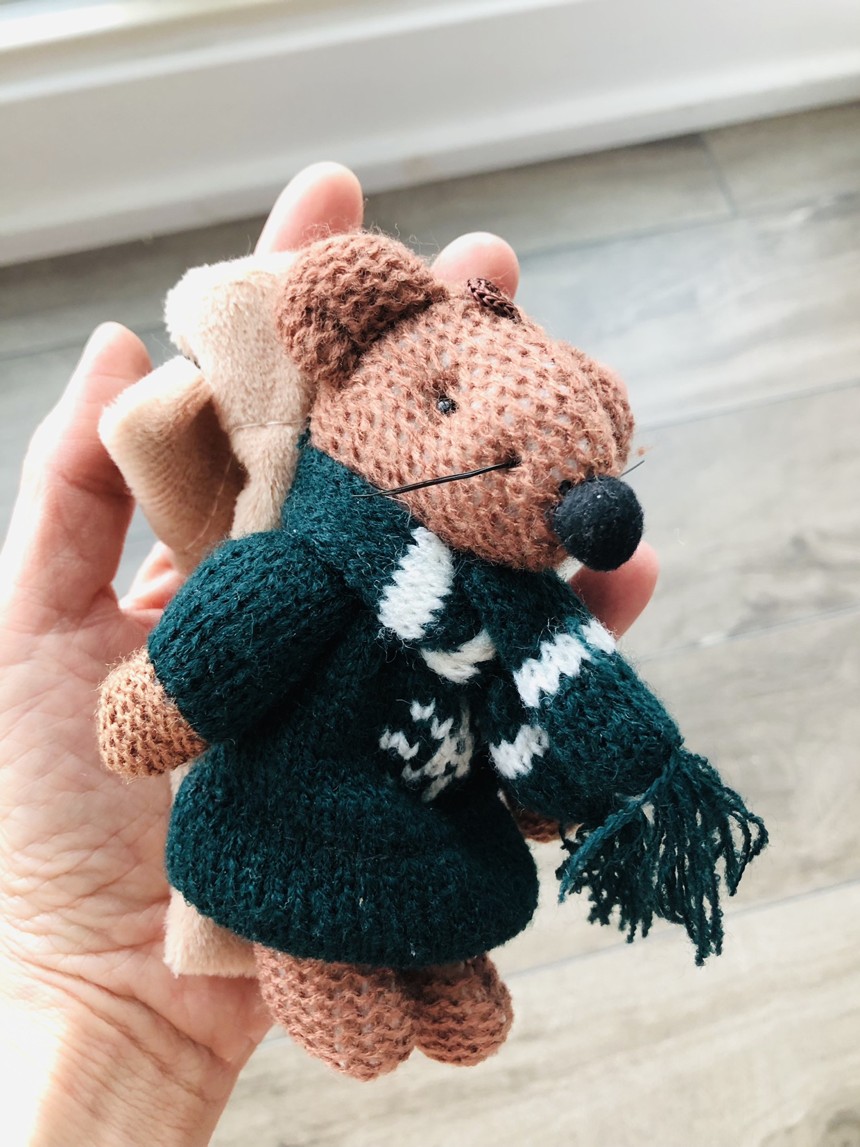 Mouse pouch image indicator(2)