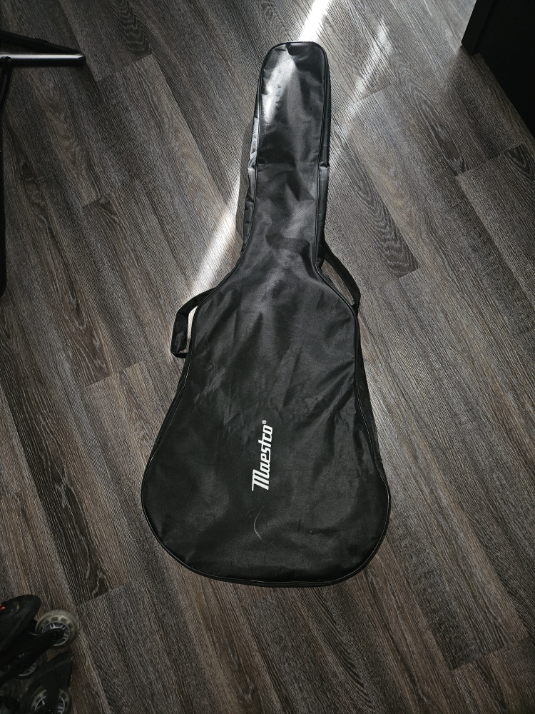 Maestro Guitar - photo 5