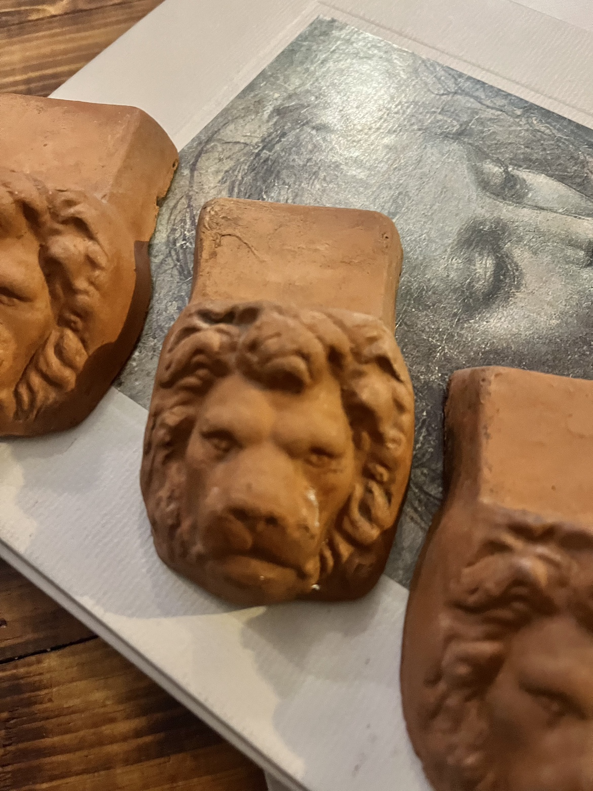 Planter lion head feet - photo 5