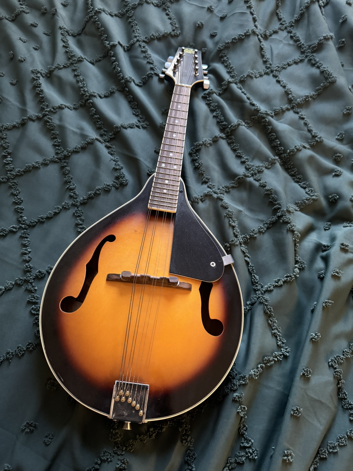 Mandolin