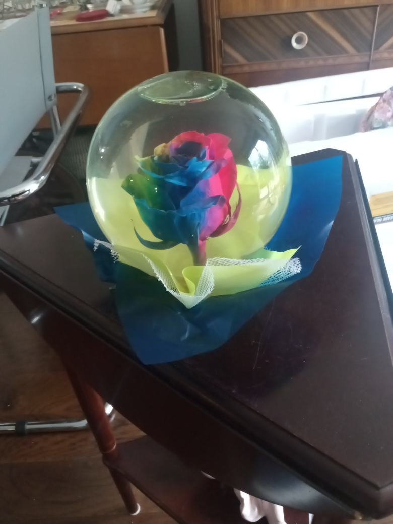 Rainbow Rose in Water