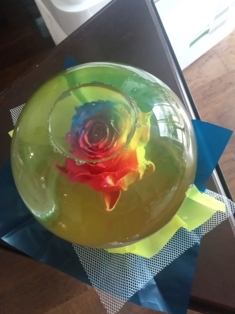 Rainbow Rose in Water - photo 2