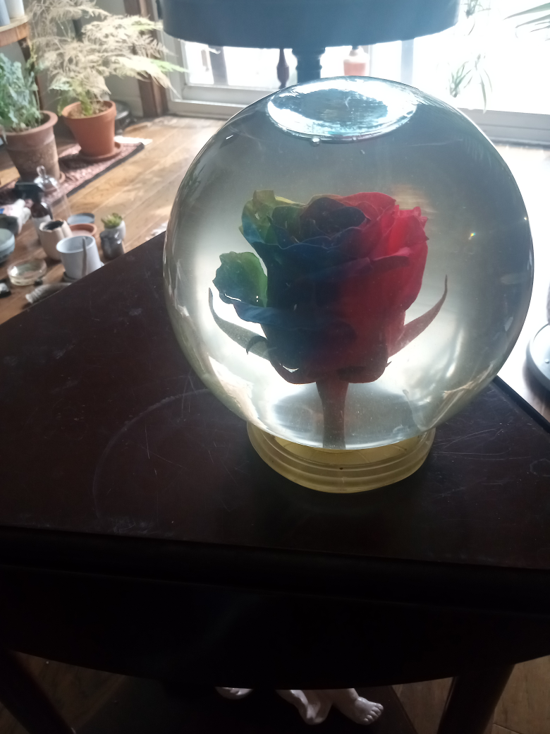 Rainbow Rose in Water - photo 3
